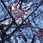 受験勉強の終わらせ方【高校生・中学生】