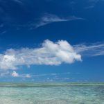 中学２年生、高校１年生はこの夏、何を勉強すべきか